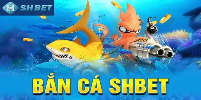 Giới thiệu tổng quan về sảnh bắn cá SHBET800