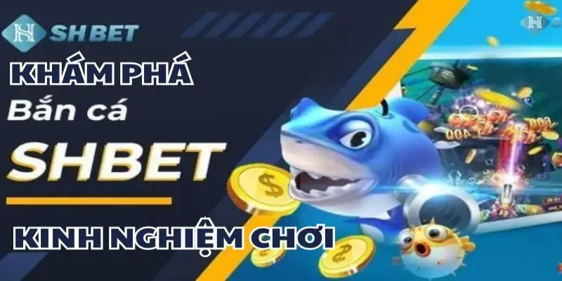 Chiến thuật săn cá hiệu quả được chia sẻ bởi chuyên gia