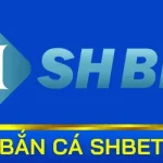 Bắn Cá SHBET88 | Bí Quyết Đầu Tư Thông Minh Tại Nhà Cái Uy Tín